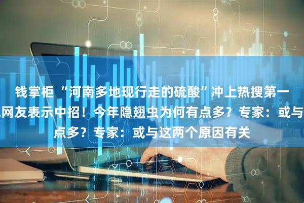 钱掌柜 “河南多地现行走的硫酸”冲上热搜第一，河北山东等地网友表示中招！今年隐翅虫为何有点多？专家：或与这两个原因有关