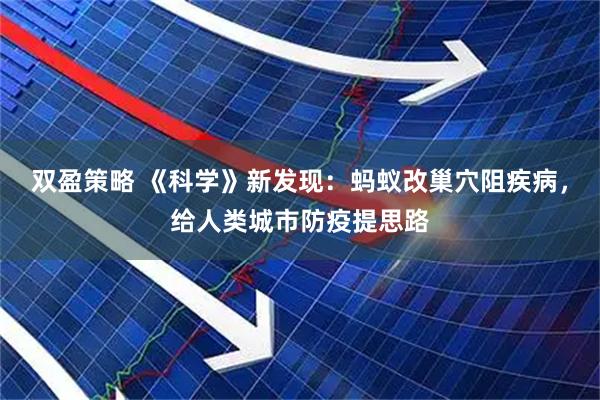 双盈策略 《科学》新发现：蚂蚁改巢穴阻疾病，给人类城市防疫提思路
