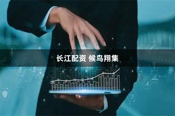 长江配资 候鸟翔集