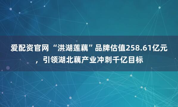 爱配资官网 “洪湖莲藕”品牌估值258.61亿元，引领湖北藕产业冲刺千亿目标
