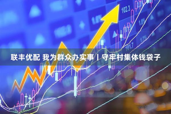 联丰优配 我为群众办实事丨守牢村集体钱袋子