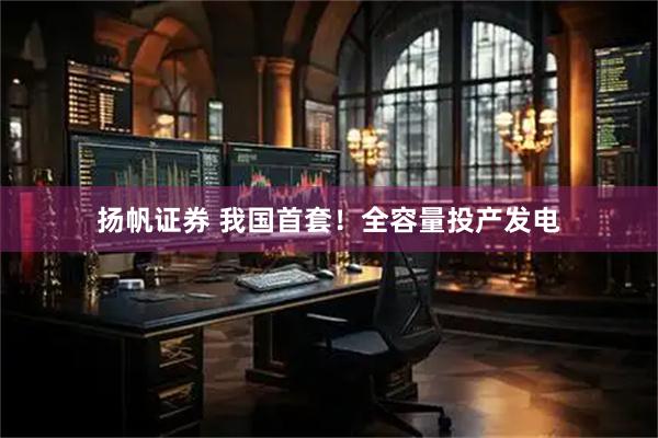 扬帆证券 我国首套！全容量投产发电